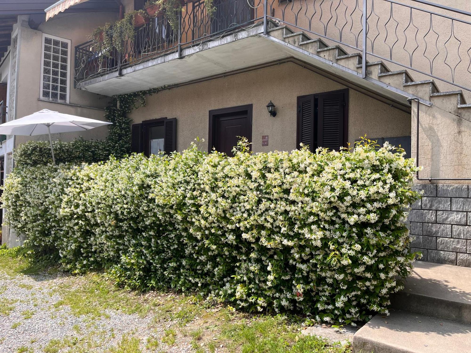 Il Cortile Como Single & Double Room In Apartment No Hotel Ngoại thất bức ảnh